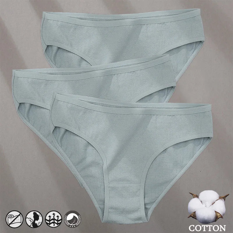 Cotton Panties Jacquard