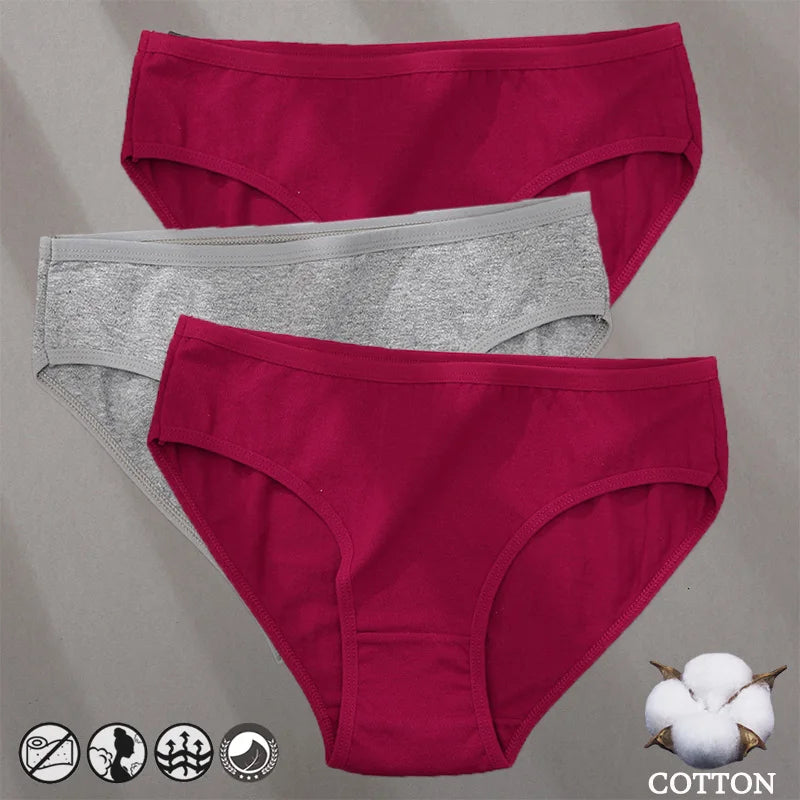 Cotton Panties Jacquard