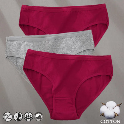 Cotton Panties Jacquard