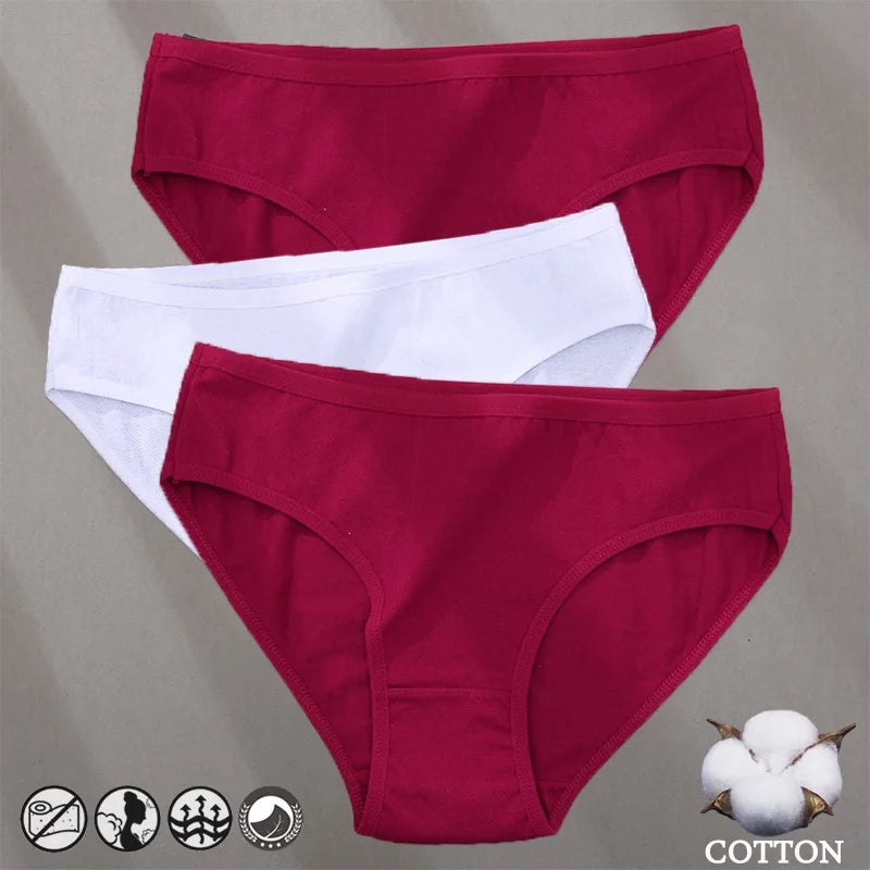 Cotton Panties Jacquard