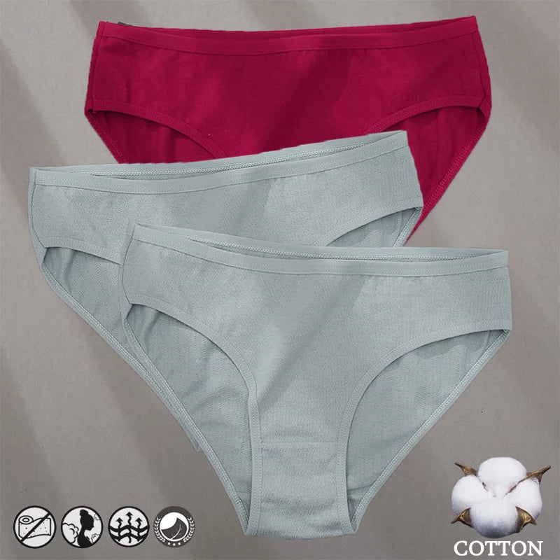 Cotton Panties Jacquard