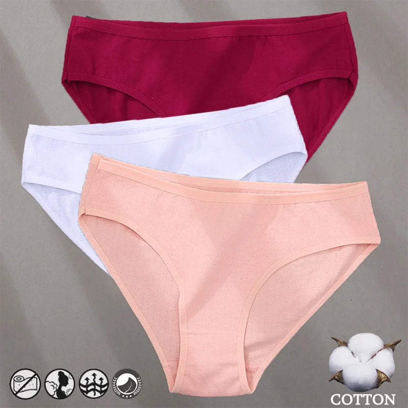 Cotton Panties Jacquard