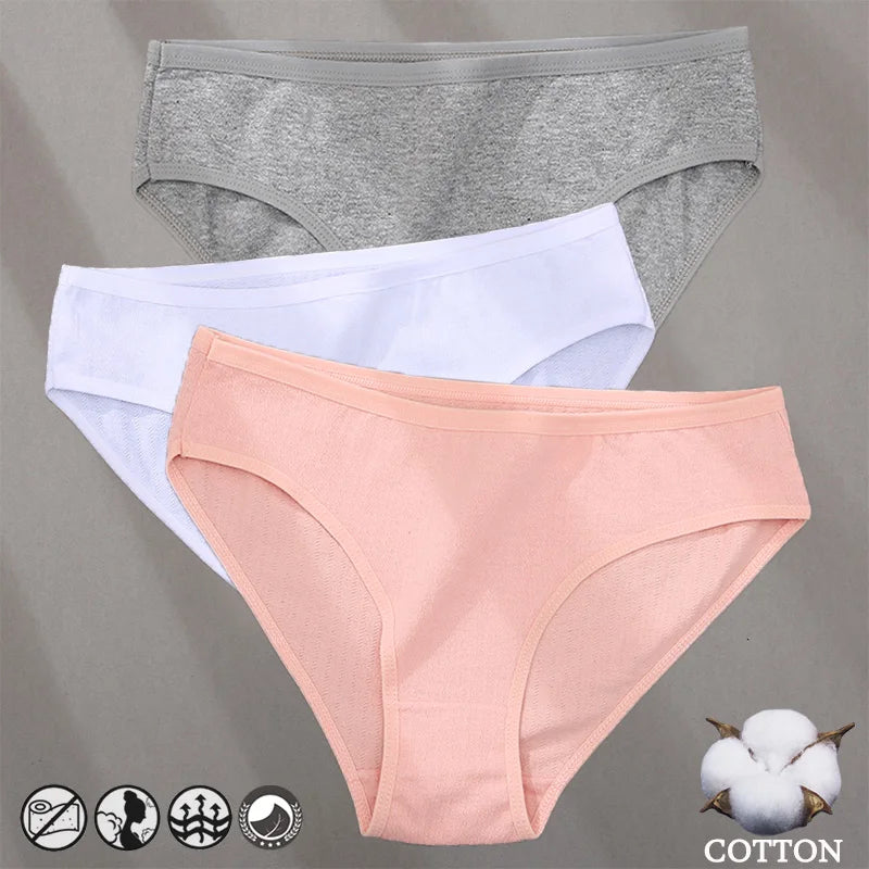 Cotton Panties Jacquard
